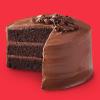 Bob’s Red Mill Grain Free Chocolate Cake Mix, 10.5oz (Pack of 5) – Non GMO, Grain Free, Paleo Friendly, Kosher(10.5 Ounce (Pack of 2))