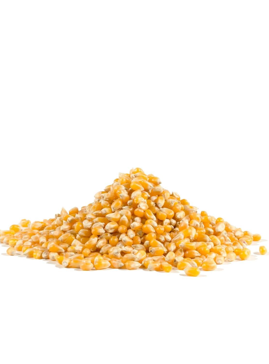 image:imageBobs Red Mill Yellow Popcorn 30oz Pack of 1 Non GMO Whole Grain Vegan Kosher